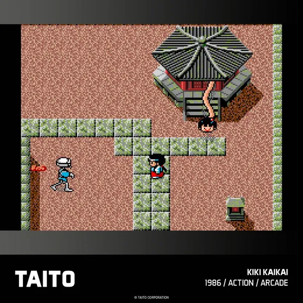 taito-arcade-2-gra-evercade-wersja-gry-pudelkowa