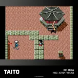 taito-arcade-2-gra-evercade-wersja-gry-pudelkowa