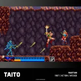 taito-arcade-2-gra-evercade-wersja-jezykowa-angielska