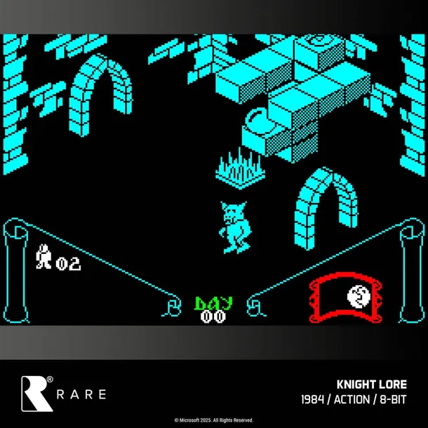 rare-collection-1-gra-evercade-tryb-gry-singleplayer