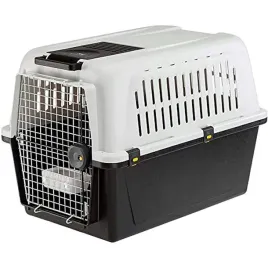 transporter-dla-psa-ferplast-szary-l-555-cm-x-81-cm-58-cm