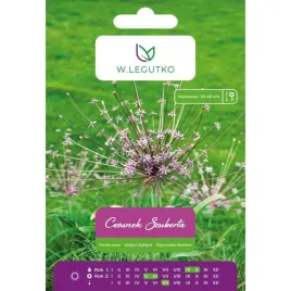 czosnek-szuberta-w-legutko-rozowy-allium-schubertii-1-cebulka