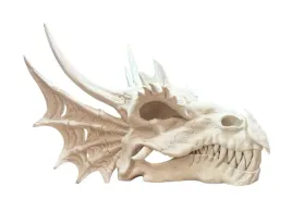 realistyczna-czaszka-smoka-dragon-skull-25x21x19cm