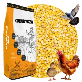 kukurydza-cale-ziarno-pasza-karma-dla-drobiu-kur-kaczek-gesi-ptakow-golebi