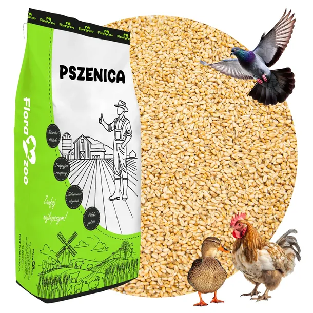 PSZENICA PASZA KARMA ZIARNO DLA DROBIU KUR KACZEK GĘSI PTAKÓW GOŁĘBI