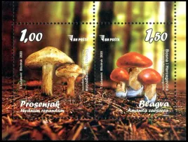 bosnia-i-hercegowina-boszniak-2020-mnh-xf-mibl93-grzyby