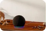 inteligentny-glosnik-amazon-echo-dot-4-th4-2020-funkcje-tryb-glosnomowiacy