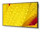 monitor-nec-multisync-me431-43-ips-4k-3840x2160-led-hdmi-displayport-klasa-stan-powystawowy