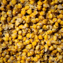 carpcorn-ziarna-kukurydzy-gotowane-8kg-kukurydza-wedkarska-naturalna