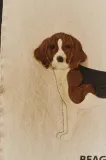 lorena-canals-dekoracja-scienna-dogs-stan-nowy-plec-brak-informacji-chlopcy-dziewczynki-unisex