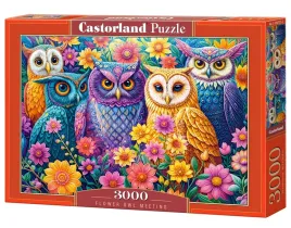 puzzle-castorland-3000-elementow-puzzle
