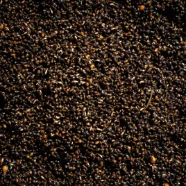 carpcorn-nasiona-konopi-gotowane-4kg-konopie-wedkarskie