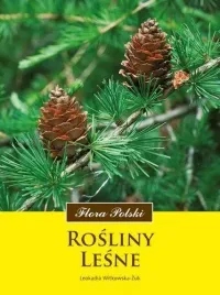 flora-polski-rosliny-lesne