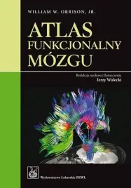 atlas-funkcjonalny-mozgu