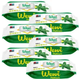 wewi-platinum-chusteczki-czyszczace-o-zapachu-miety-grube-i-duze-100szt-x6