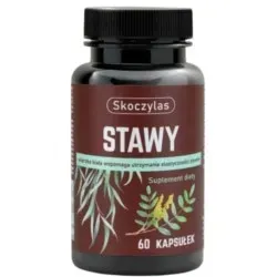 skoczylas-stawy-60-kap