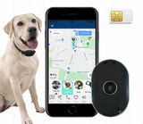 calmean-pettracker-mini-obroza-s-m-stan-nowy-ksztalt-koperty-inny