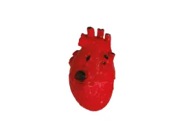 serce-lateksowe-15-cm-1-szt