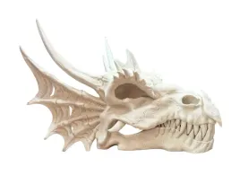 realistyczna-czaszka-smoka-dragon-skull-25x21x19cm
