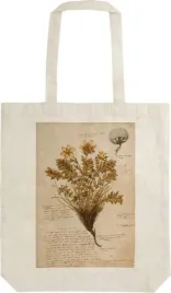 skona-ting-torba-bawelniana-shopper-stbag36-anno-1550-100percent-bawelna