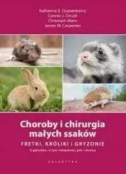 choroby-i-chirurgia-malych-ssakow