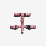 zee-dog-peppermint-szelki-m