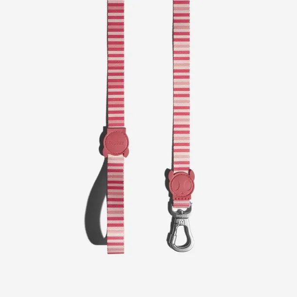 zee-dog-peppermint-smycz-s-stan-nowy