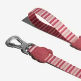 zee-dog-peppermint-smycz-s-kolor-wielokolorowy