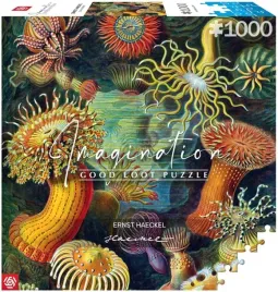 puzzle-1000-elementow-stworzenia-morskie-ernsta-haeckela-good-loot