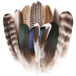 piora-naturalne-bazanta-12-szt-6-wzorow-czarno-biale-braz-do-majsterkowania