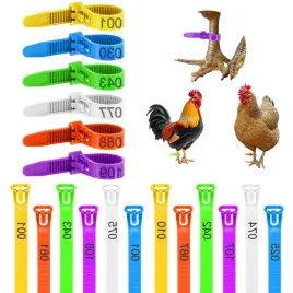 opaski-identyfikacyjne-dla-kurczat-120-szt-numerowane-6-kolorow-zatrzaskowe