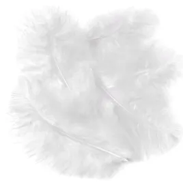 dalprint-dpcraftpiora-indycze-biale-15-cm-5-szt