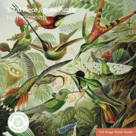 puzzle-1000-elementow-kolibry-od-flame-tree-zjawiskowa-ukladanka-artystyc