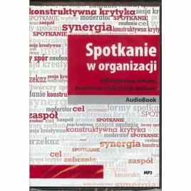 spotkanie-w-organizacji-audiobook-marek-staczek