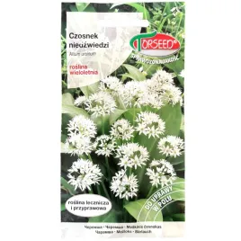 czosnek-niedzwiedzi-nasiona-05g-torseed