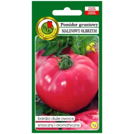 pomidor-malinowy-olbrzym-nasiona-1g-pnos