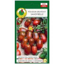 pomidor-sandybelle-nasiona-02g-pnos
