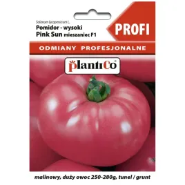 pomidor-pink-sun-f1-8-nasion-plantico