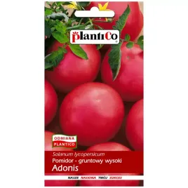 pomidor-adonis-nasiona-05g-plantico