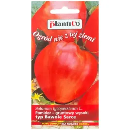 pomidor-oxheart-nasiona-02g-plantico