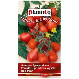 pomidor-red-pear-maly-nasiona-02g-plantico