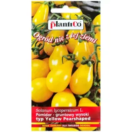 pomidor-yellow-pearshaped-nasiona-02g-plantico
