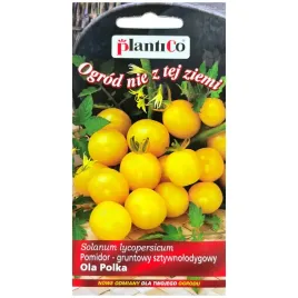 pomidor-ola-polka-nasiona-05g-plantico