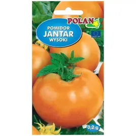 pomidor-jantar-nasiona-02g-polan