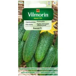 ogorek-everest-f1-nasiona-3g-vilmorin