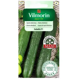 ogorek-saladin-f1-nasiona-08g-vilmorin