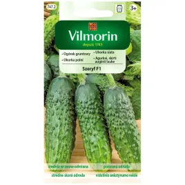 ogorek-szeryf-f1-nasiona-3g-vilmorin