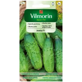 ogorek-jowisz-f1-nasiona-1g-vilmorin