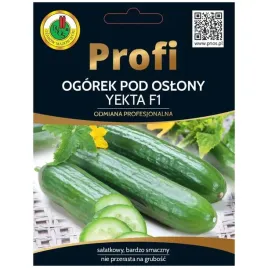 ogorek-yekta-f1-15-nasion-pnos