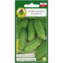 ogorek-aladyn-f1-nasiona-5g-pnos
